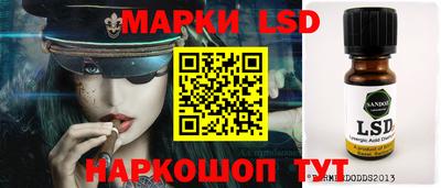 крисы Новозыбков