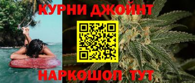 крисы Новозыбков