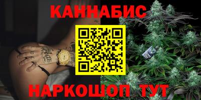 крисы Новозыбков