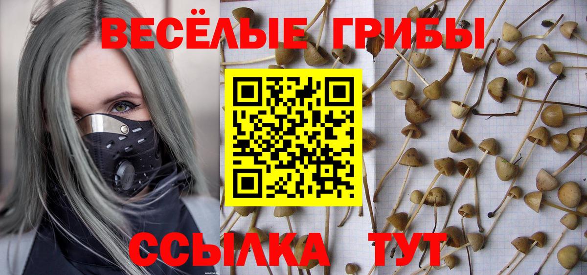 Галлюциногенные грибы прущие грибы Сыктывкар
